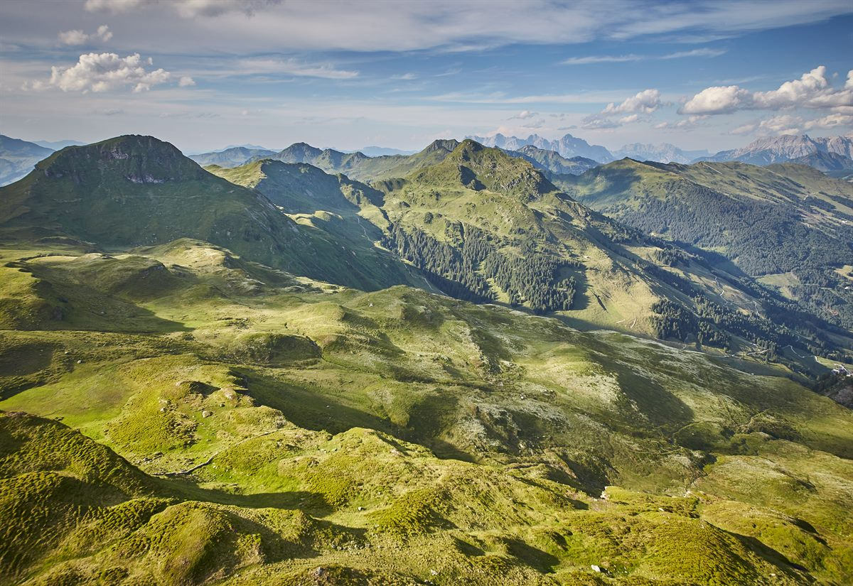Groen berglandschap in Fieberbrunn-Saalbach