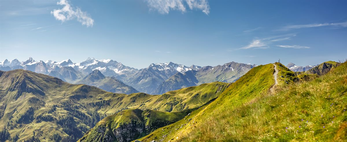 Zomer in Fieberbrunn